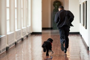Bo the racist chases President Obama