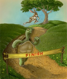 The tortoise and his suspicious PED muscles cross the finish line first
