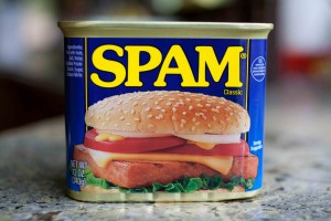 Spam!  We love it.  We need it!  It's a natural part of life