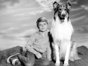 Lassie is gender fluid