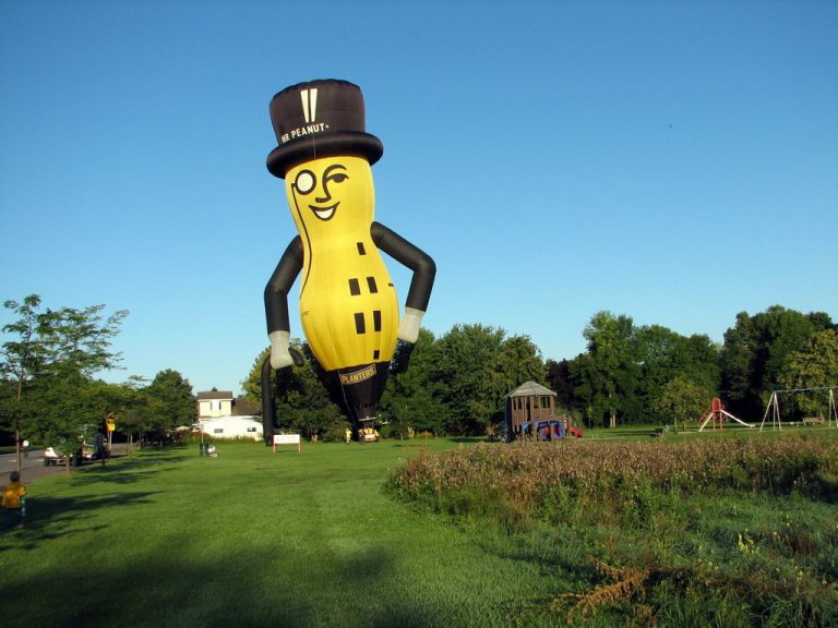 giant mr peanut